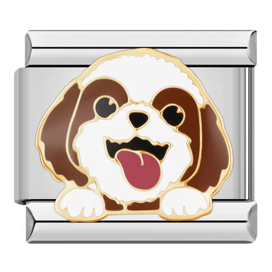SHIH TZU