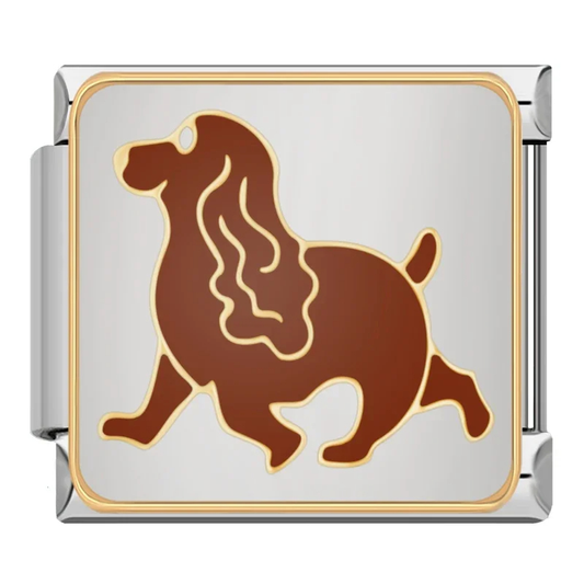 COCKER SPANIEL